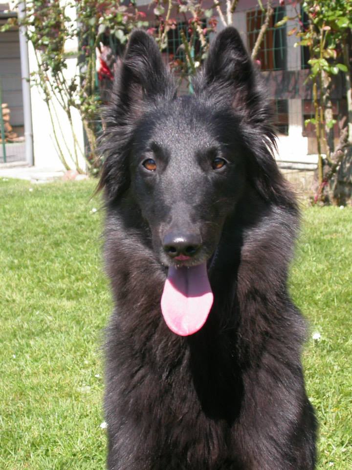 Starbuck