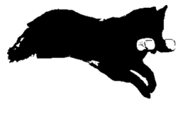 Hyppynouto