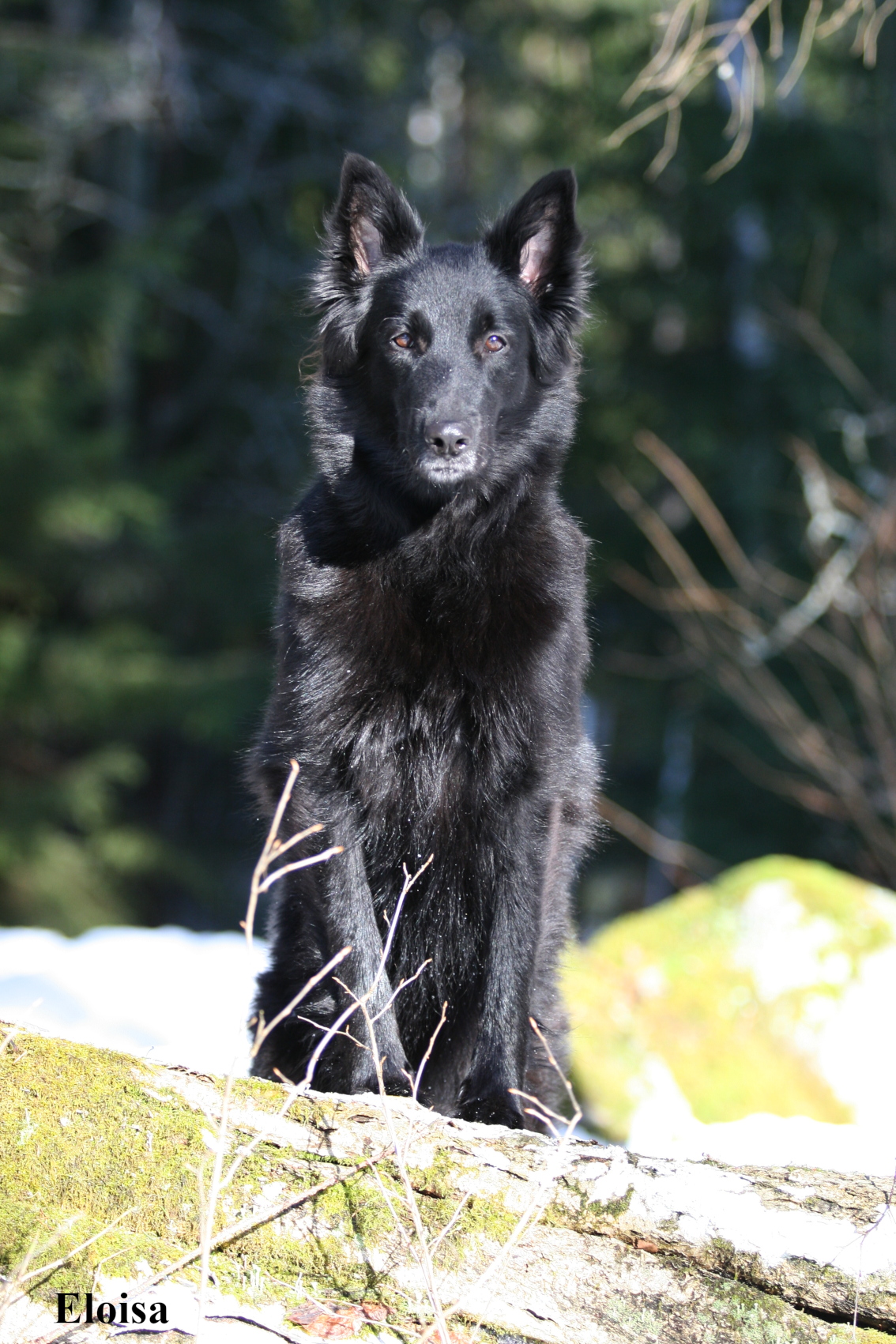W&auml;lke